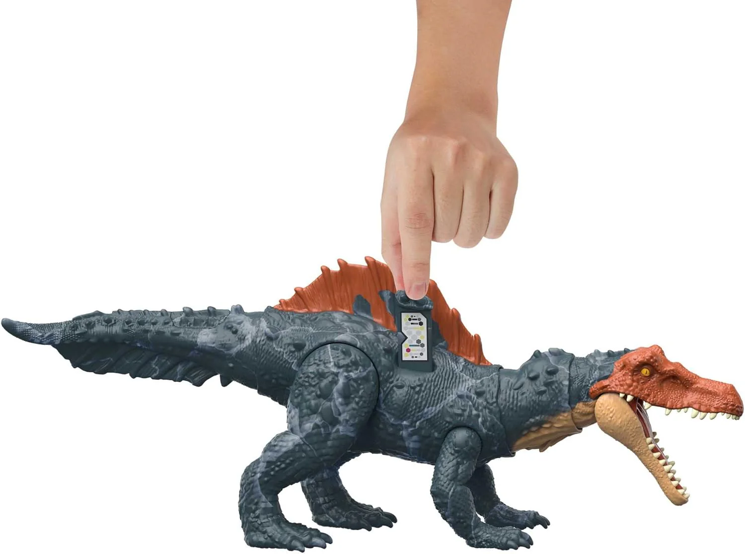Thumb 5